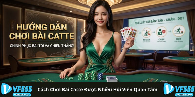 Cách Chơi Bài Catte - Luật Chơi Và Chiến Thuật Cơ Bản 1 Luật chơi bài Catte