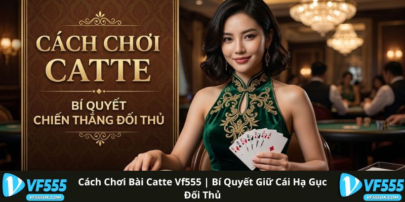 Cách Chơi Bài Catte - Luật Chơi Và Chiến Thuật Cơ Bản 7 Cách Chơi Bài Catte VF555 | Bí Quyết Giữ Cái Hạ Gục Đối Thủ