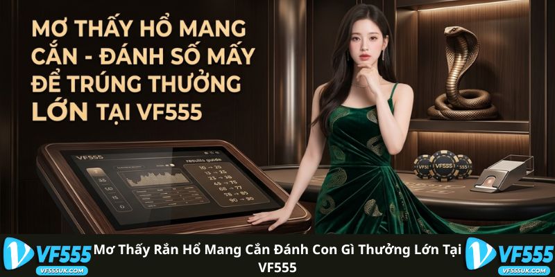 Mơ Thấy Rắn Hổ Mang Cắn - Biểu Tượng Trong Văn Hóa Việt 3 Mơ Thấy Rắn Hổ Mang Cắn Đánh Con Gì Thưởng Lớn Tại VF555
